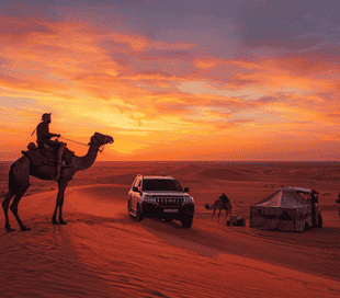 Desert Safari Tour