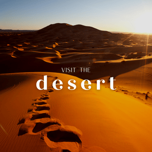 Desert Adventures